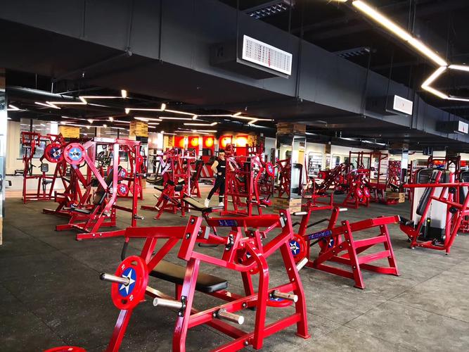 臂部训练器 体育用品批发市场,广州市康宜健身器材厂家
